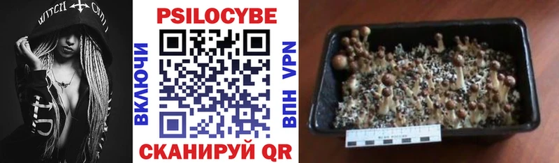 Галлюциногенные грибы MAGIC MUSHROOMS  Буинск 